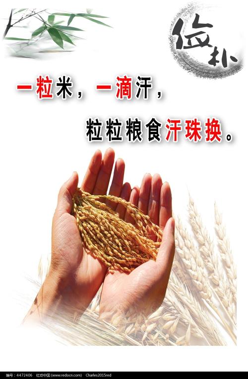 吉備国際大学本科成绩单